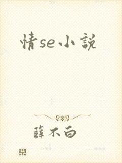 情se小说
