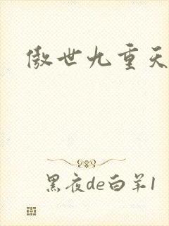 傲世九重天小说