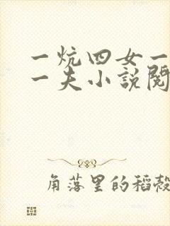 一炕四女一共侍一夫小说阅读
