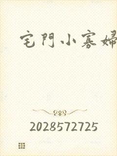 宅门小寡妇