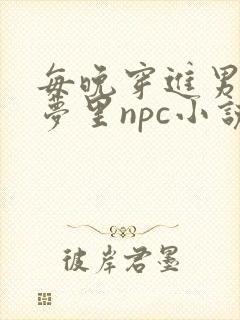 每晚穿进男神的梦里npc小说