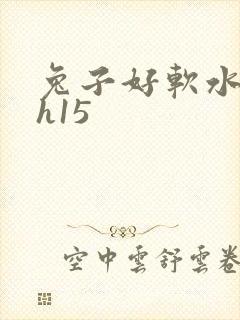 兔子好软水好多h15
