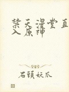 禁天漫堂直接进入原神