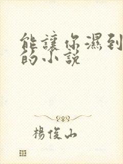 能让你湿到不行的小说