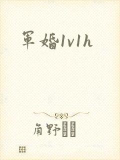 军婚1v1h