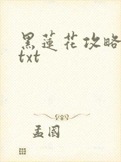 黑莲花攻略手册txt
