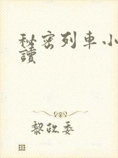 秘密列车小说阅读