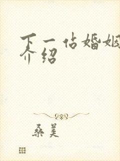 下一站婚姻剧情介绍