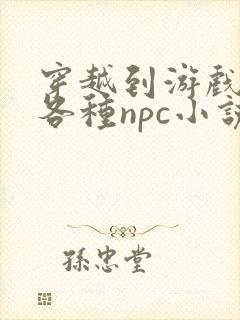 穿越到游戏里和各种npc小说