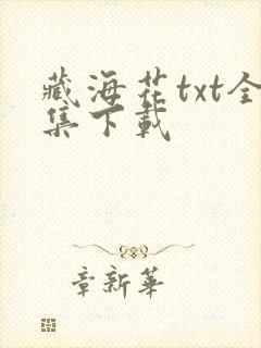 藏海花txt全集下载