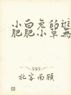 小白兔的进化史肥肥小草无防盗