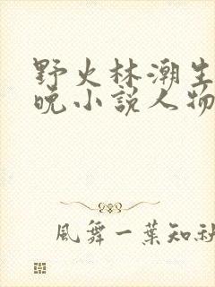 野火林潮生林晚晚小说人物野火