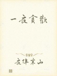 一夜贪欢