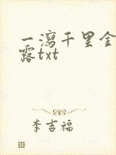 一泻千里金银花露txt