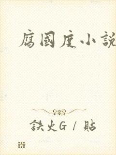 腐国度小说