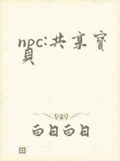 npc:共享宝贝