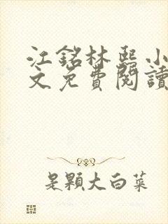 江铭林熙小说全文免费阅读