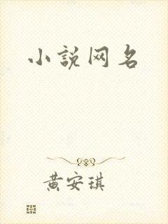 小说网名