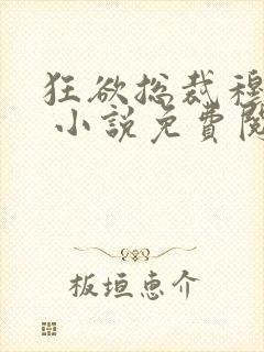 狂欲总裁穆非雪 小说免费阅读