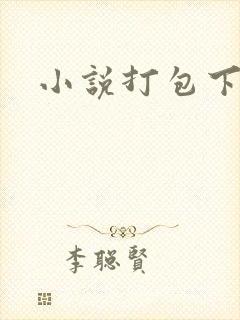 小说打包下载