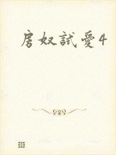 房奴试爱4