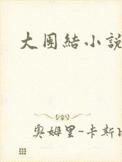 大团结小说下载