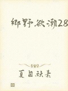 乡野欲潮28章