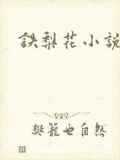 铁梨花小说