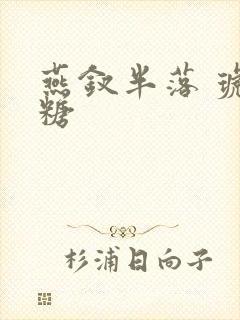 燕钗半落 琥珀糖