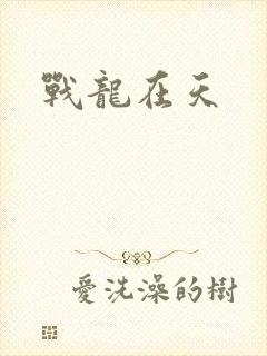 战龙在天