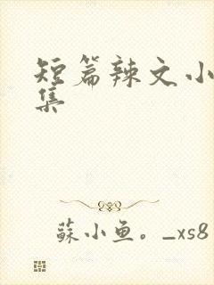 短篇辣文小说合集