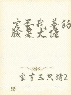 完蛋我养的小白脸是大佬