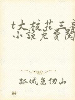 t大校花三部曲小说免费阅读全文