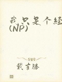 我只是个经纪人(NP)