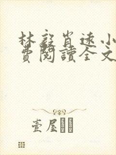 林毅肖远小说免费阅读全文最新章节