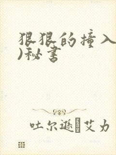 狠狠的撞入(h)秘书