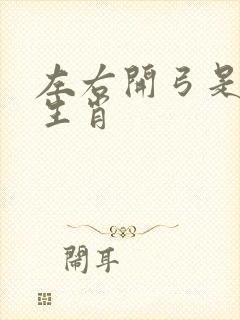 左右开弓是什么生肖