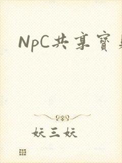 NpC共享宝贝