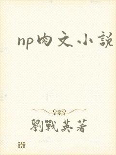 np肉文小说