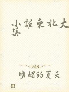 小说东北大炕全集