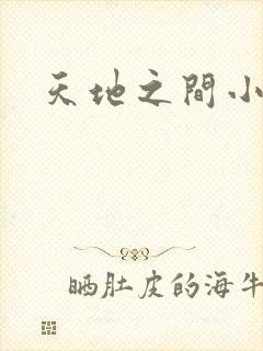 天地之间小说