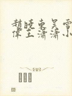 赵晓东吴雪晴郑伟王潇潇小说名字