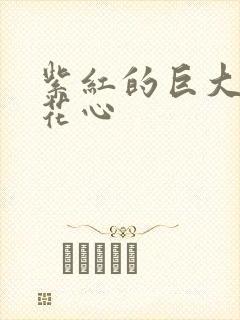 紫红的巨大顶开花心