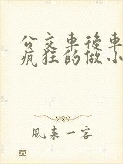 公交车后车座的疯狂的做小