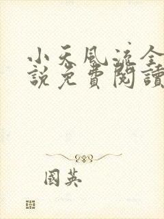 小天风流全集小说免费阅读
