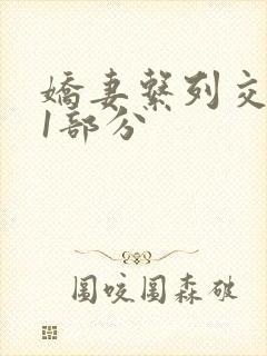 娇妻系列交换11部分