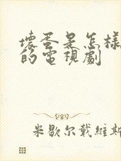 坏蛋是怎样炼成的电视剧