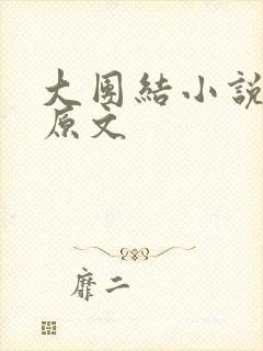 大团结小说阅读原文