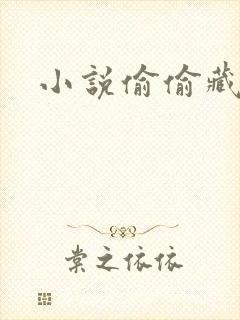 小说偷偷藏不住