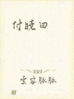 付晓田